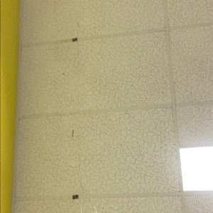 Meet your Posher, Camden